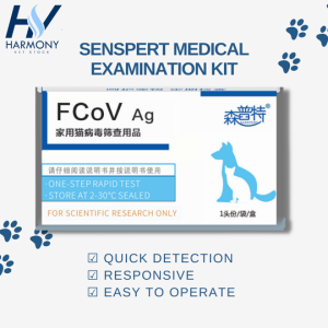 5 pcs - FCoV Ag Domestic Feline Virus Screening Supplies